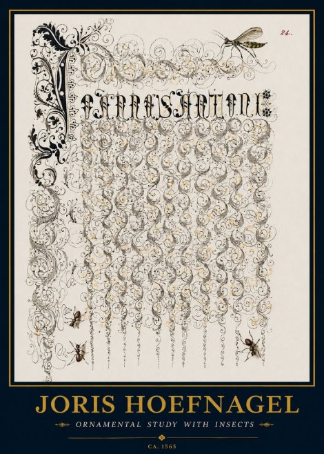 Joris Hoefnagel Ornamental Study with Insects No3 - Affiche
