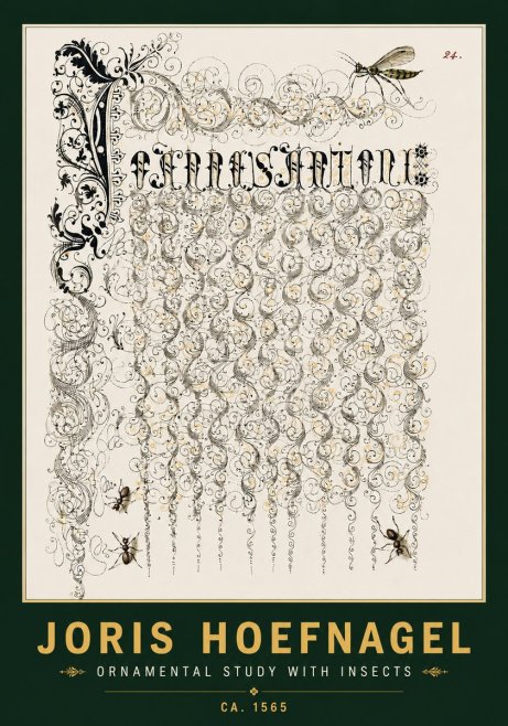 Joris Hoefnagel Ornamental Study with Insects No4 - Affiche