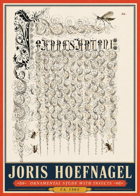Joris Hoefnagel Ornamental Study with Insects No5 - Affiche