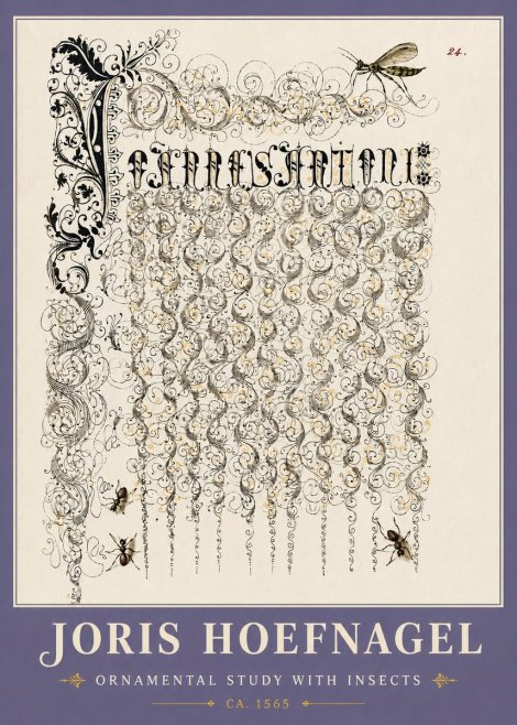 Joris Hoefnagel Ornamental Study with Insects No6 - Affiche