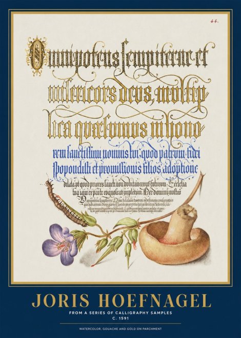 Joris Hoefnagel From a Series of Calligraphy Samples No1 - Affiche