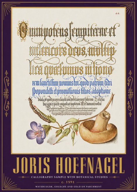 Joris Hoefnagel From a Series of Calligraphy Samples No5 - Affiche
