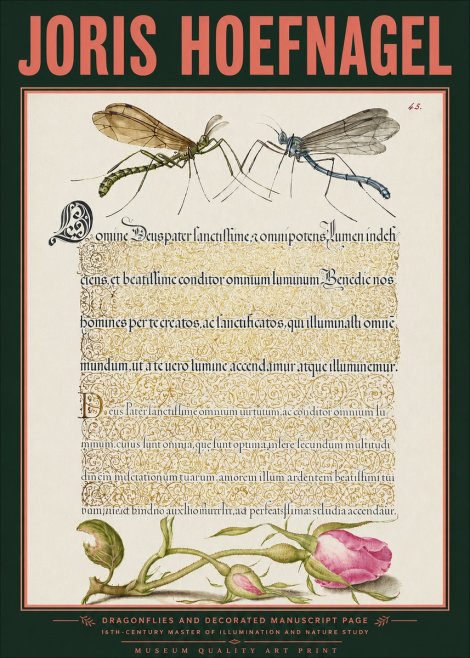 Joris Hoefnagel Dragonflies and Decorated Manuscript Page No3 - Affiche