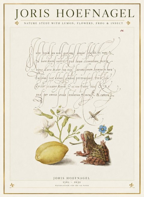 Joris Hoefnagel Nature Study with Lemon, Flowers, Frog & Insect No1 - Affiche