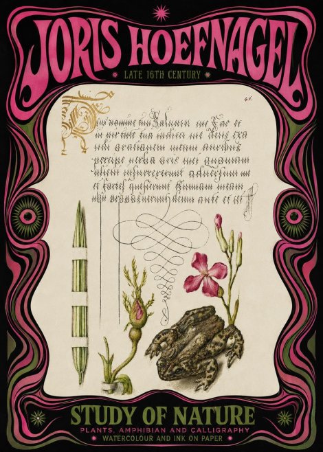 Joris Hoefnagel Study of Nature I No3 - Affiche