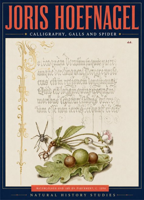 Joris Hoefnagel Plant with Galls and Insect No5 - Affiche