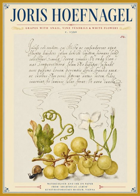 Joris Hoefnagel Grapes with Snail, Vine Tendrils & White Flowers No3 - Affiche