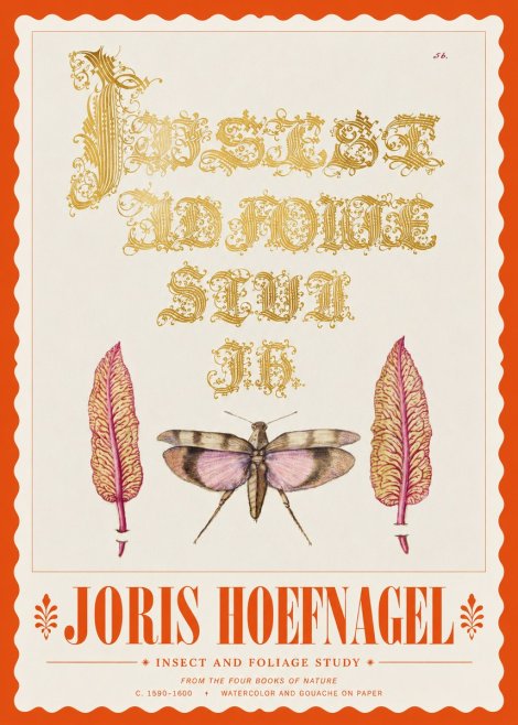 Joris Hoefnagel Insect and Foliage Study No3 - Affiche