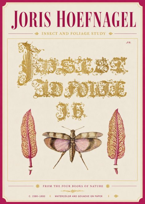 Joris Hoefnagel Insect and Foliage Study No6 - Affiche