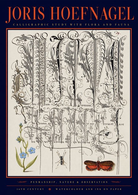 Joris Hoefnagel Calligraphic Study with Flora and Fauna No2 - Affiche