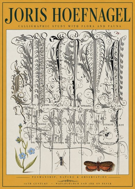 Joris Hoefnagel Calligraphic Study with Flora and Fauna No3 - Affiche