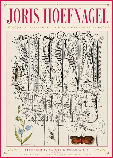 Joris Hoefnagel Calligraphic Study with Flora and Fauna No6 - Affiche
