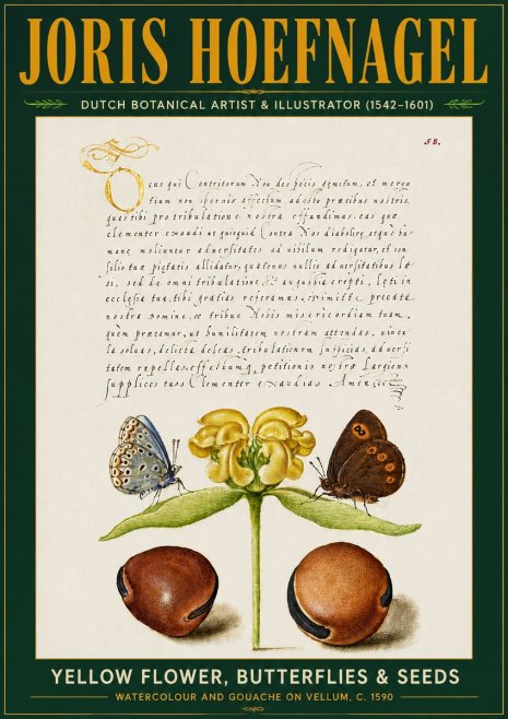 Joris Hoefnagel Yellow Flower, Butterflies & Seeds No5 - Affiche