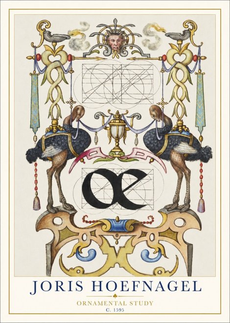 Joris Hoefnagel Ornamental Study I No1 - Affiche