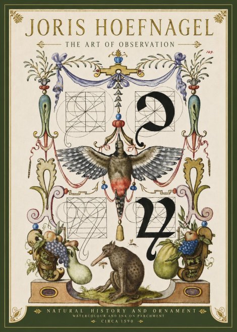 Joris Hoefnagel Study of Nature and Ornament No4 - Affiche