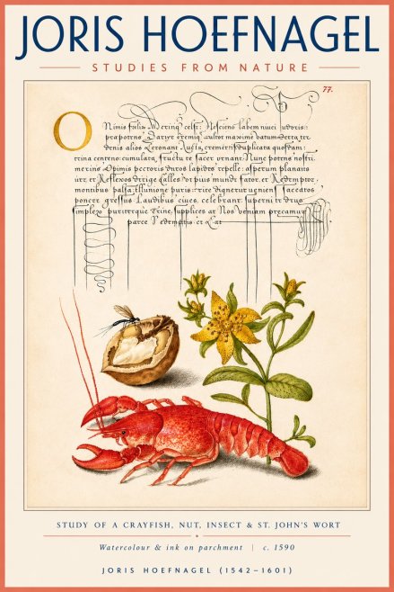 Joris Hoefnagel Studies from Nature No4 - Affiche