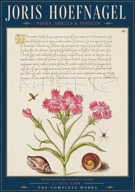 Joris Hoefnagel Pinks, Shells & Insects No5 - Affiche