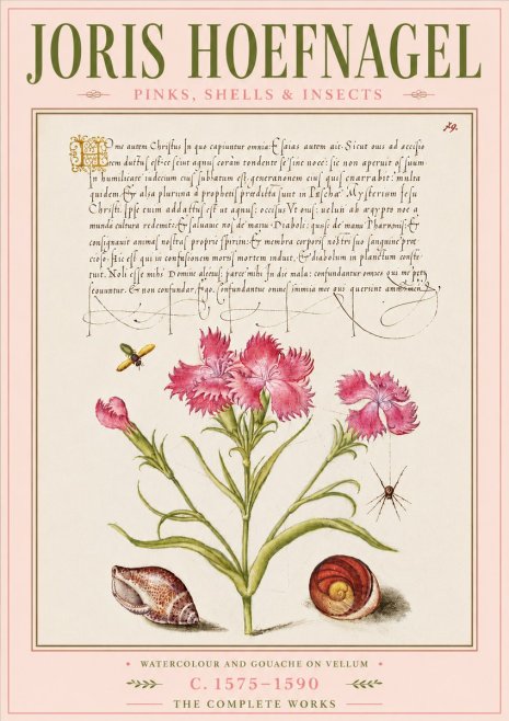 Joris Hoefnagel Pinks, Shells & Insects No6 - Affiche