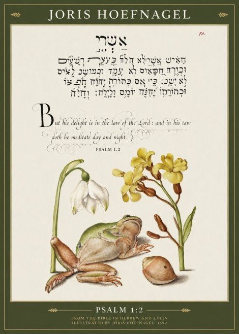 Joris Hoefnagel Psalm 1:2 No1 - Affiche