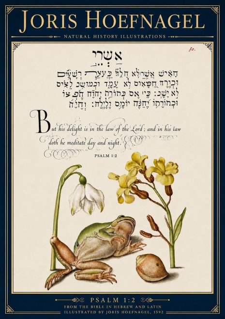 Joris Hoefnagel Psalm 1:2 No6 - Affiche