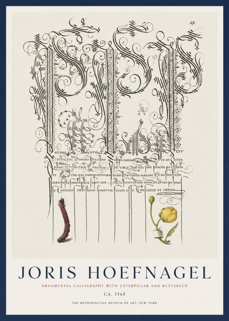 Joris Hoefnagel Ornamental Calligraphy with Caterpillar and Buttercup No1 - Affiche