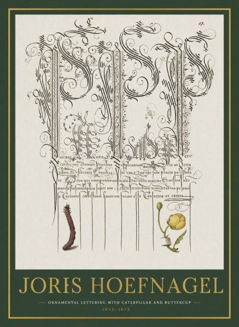 Joris Hoefnagel Ornamental Calligraphy with Caterpillar and Buttercup No2 - Affiche