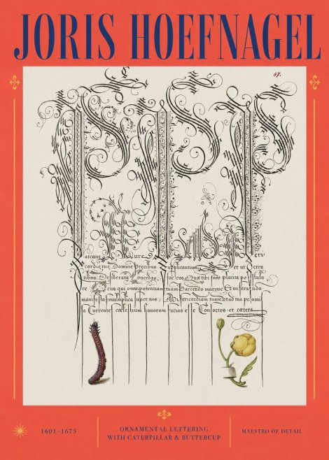 Joris Hoefnagel Ornamental Calligraphy with Caterpillar and Buttercup No3 - Affiche