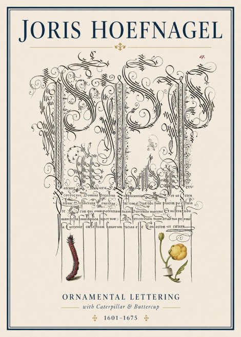 Joris Hoefnagel Ornamental Calligraphy with Caterpillar and Buttercup No4 - Affiche