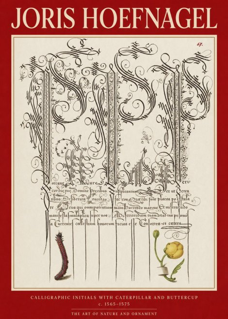 Joris Hoefnagel Ornamental Calligraphy with Caterpillar and Buttercup No6 - Affiche