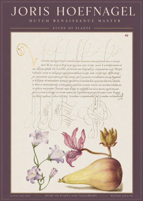 Joris Hoefnagel Study of Plants II No1 - Affiche