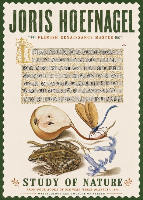 Joris Hoefnagel Study of Nature II No6 - Affiche
