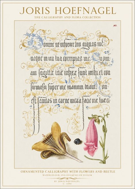Joris Hoefnagel Ornamented Calligraphy with Flowers and Beetle No1 - Affiche