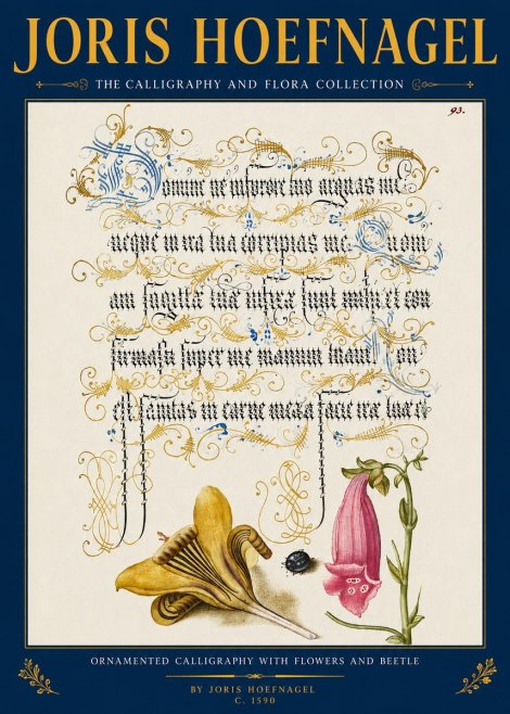 Joris Hoefnagel Ornamented Calligraphy with Flowers and Beetle No2 - Affiche