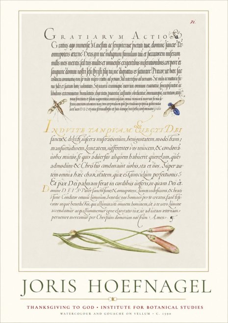 Joris Hoefnagel Thanksgiving to God • Institute for Botanical Studies No1 - Affiche