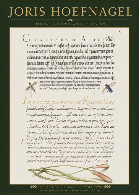 Joris Hoefnagel Thanksgiving to God • Institute for Botanical Studies No3 - Affiche