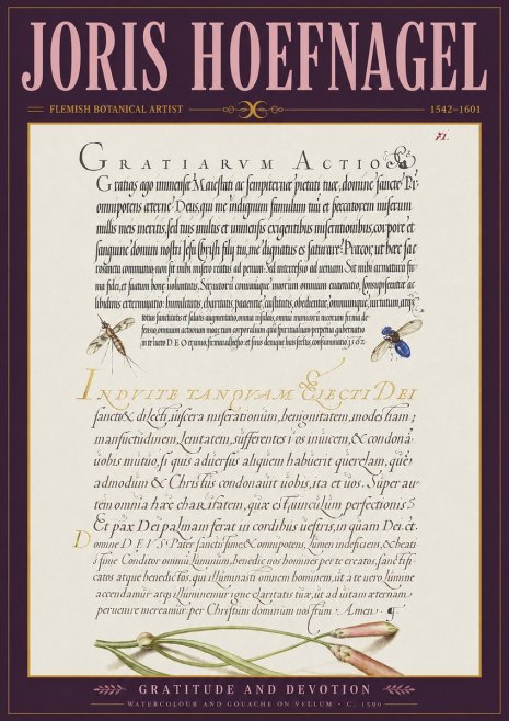 Joris Hoefnagel Thanksgiving to God • Institute for Botanical Studies No4 - Affiche
