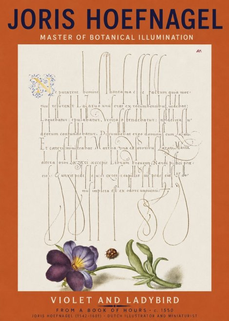 Joris Hoefnagel Violet and Ladybird No2 - Affiche