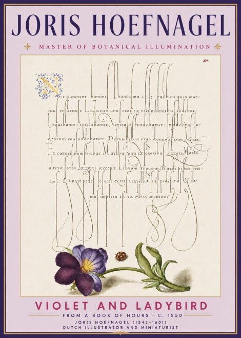 Joris Hoefnagel Violet and Ladybird No3 - Affiche