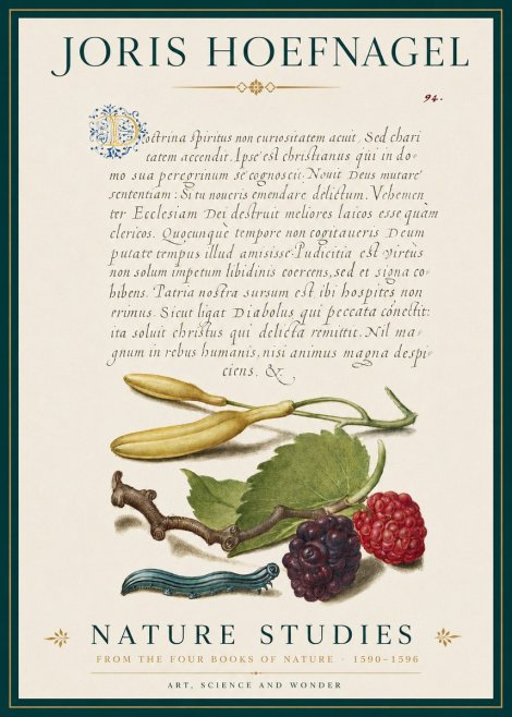 Joris Hoefnagel Nature Studies No3 - Affiche