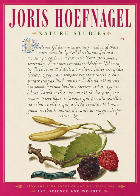 Joris Hoefnagel Nature Studies No6 - Affiche