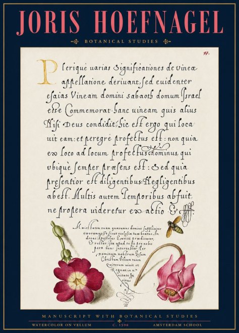 Joris Hoefnagel Manuscript with Botanical Studies No3 - Affiche