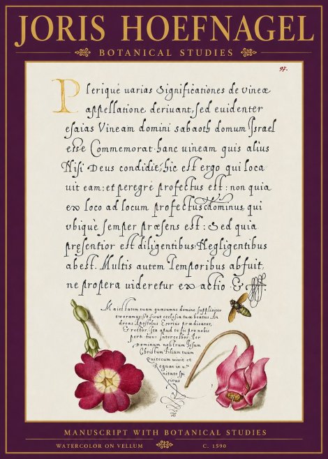 Joris Hoefnagel Manuscript with Botanical Studies No5 - Affiche