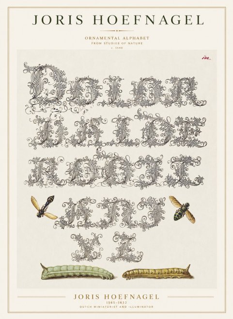 Joris Hoefnagel Ornamental Alphabet from Studies of Nature No1 - Affiche