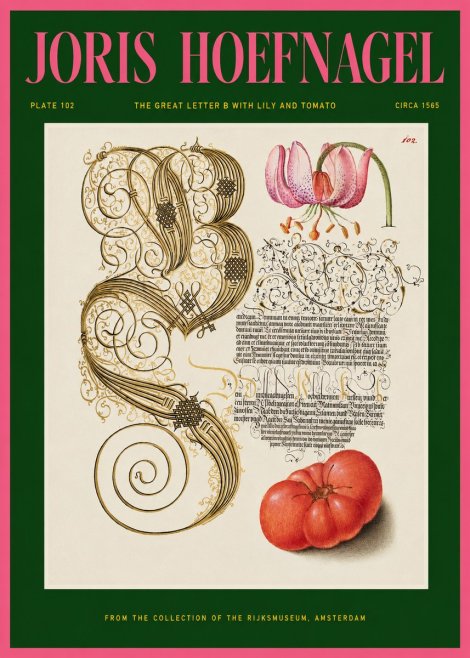 Joris Hoefnagel The Great Letter B with Lily and Tomato No2 - Affiche