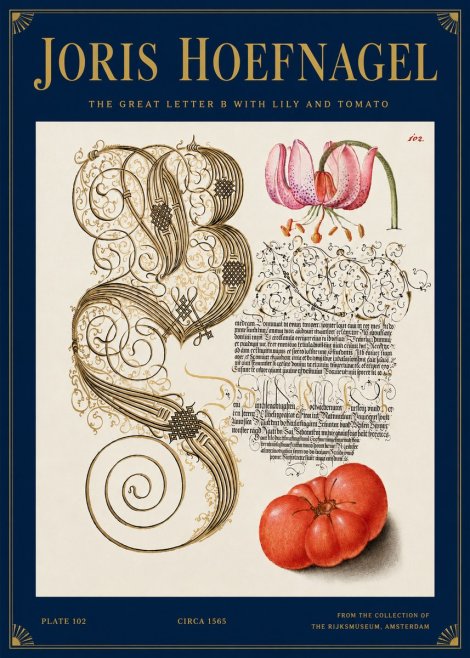Joris Hoefnagel The Great Letter B with Lily and Tomato No3 - Affiche