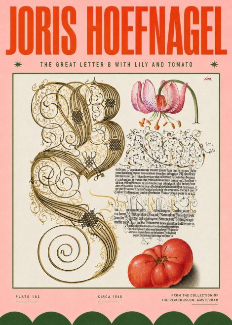 Joris Hoefnagel The Great Letter B with Lily and Tomato No4 - Affiche