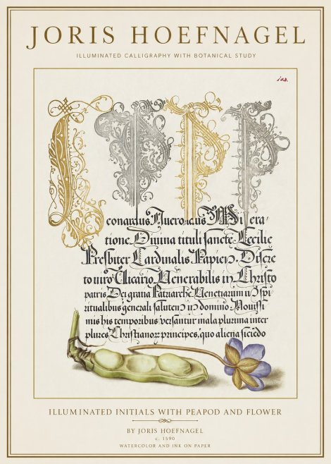 Joris Hoefnagel Illuminated Initials with Peapod and Flower No1 - Affiche