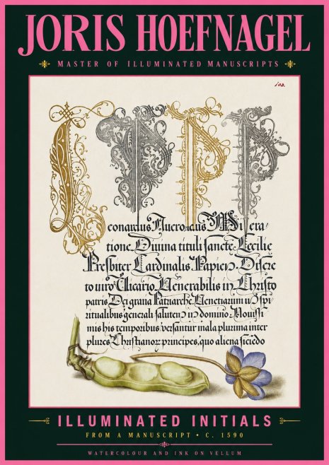 Joris Hoefnagel Illuminated Initials with Peapod and Flower No6 - Affiche