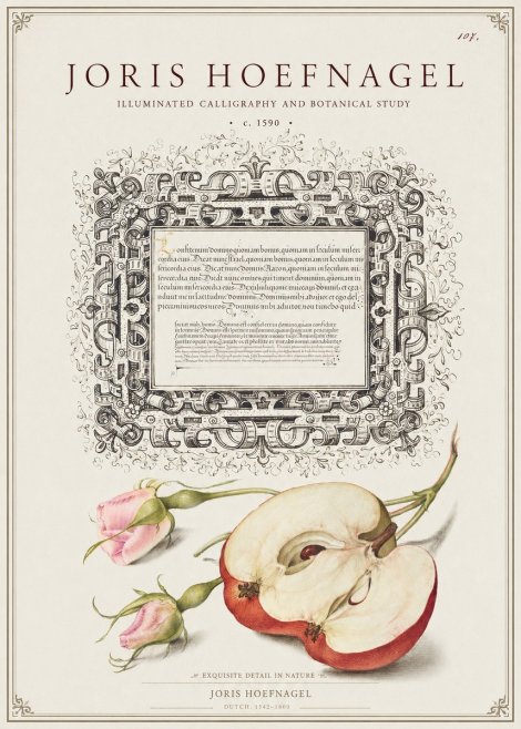 Joris Hoefnagel Illuminated Calligraphy and Botanical Study No1 - Affiche