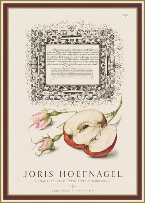 Joris Hoefnagel Illuminated Calligraphy and Botanical Study No2 - Affiche